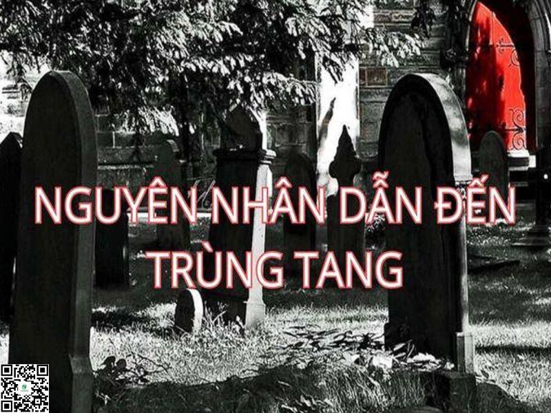 Nguyên Nhân Dẫn Đến Trùng Tang