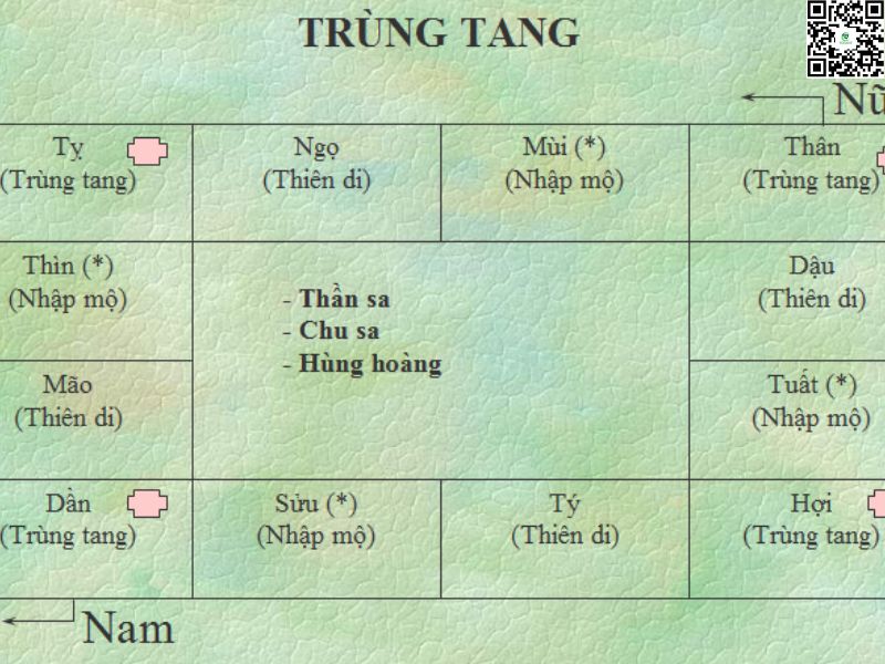 Dấu Hiệu Trùng Tang