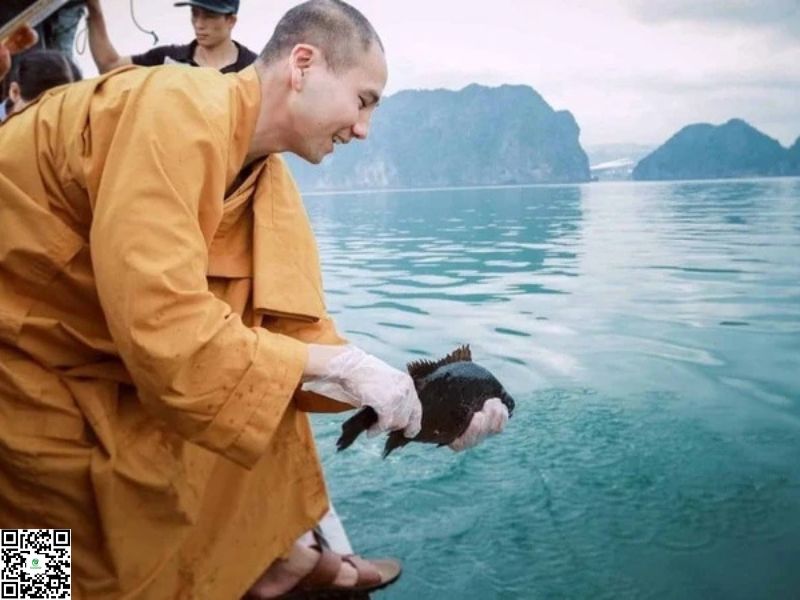 Nghi Thức Phóng Sinh Đúng Cách Để Công Đức Viên Mãn