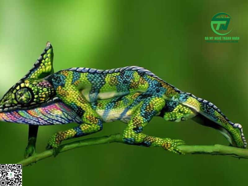 Tắc Kè Kêu Trong Đêm